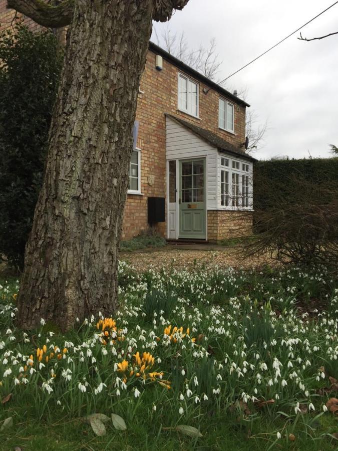 Beech View Cottage Downham Market Exterior photo